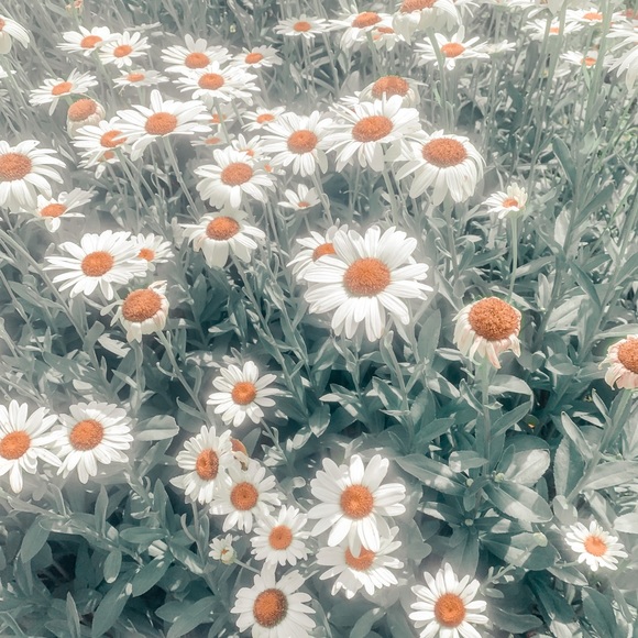 HELLO❤️ - Picture 5 of 6